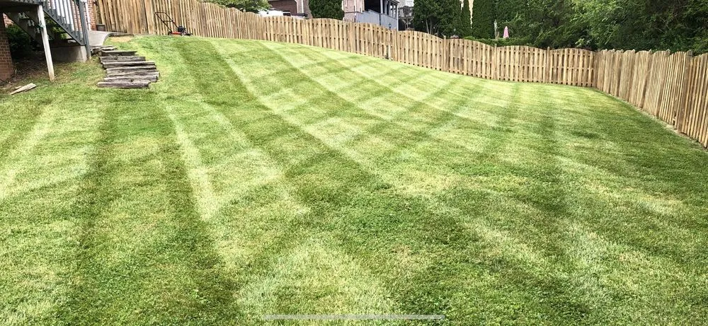 Custom lawn care service in Knoxville, TN by Superior Stripes Lawn Care