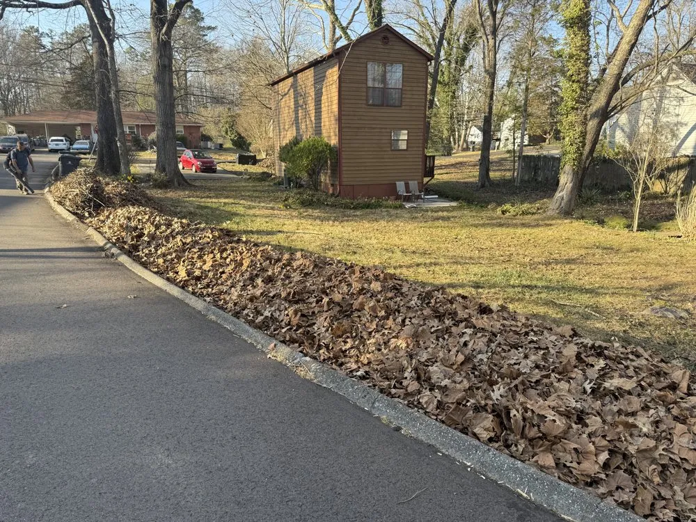 Local yard maintenance in Knoxville, TN - Superior Stripes Lawn Care