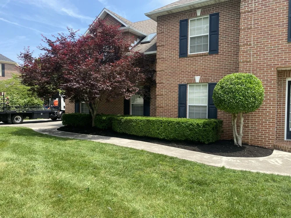 Local yard maintenance in Knoxville, TN by Superior Stripes Lawn Care