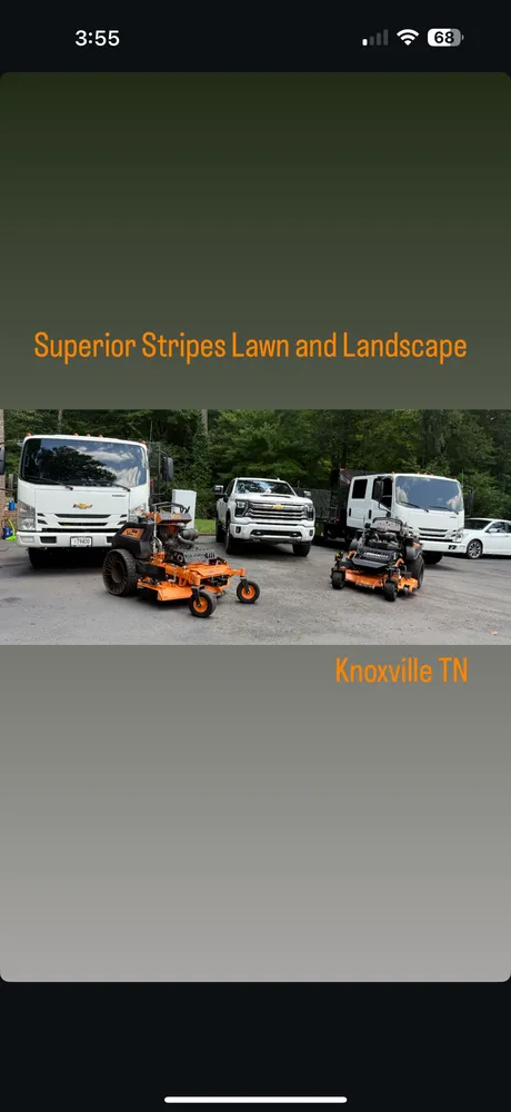 Top-rated lawn care service in Knoxville, TN by Superior Stripes Lawn Care