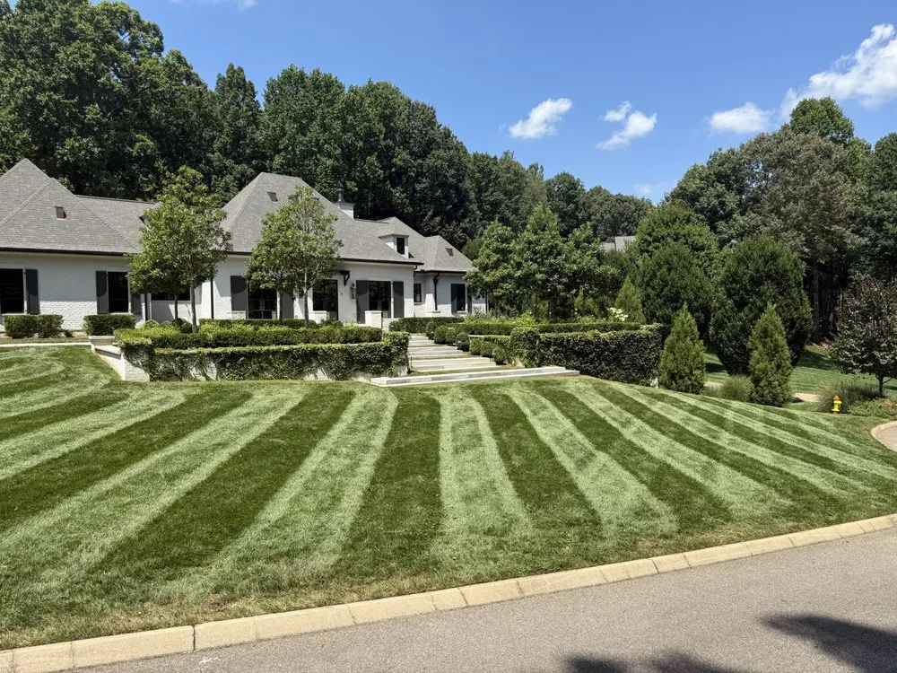 Top-rated lawn care service experts serving Knoxville, TN - Superior Stripes Lawn Care
