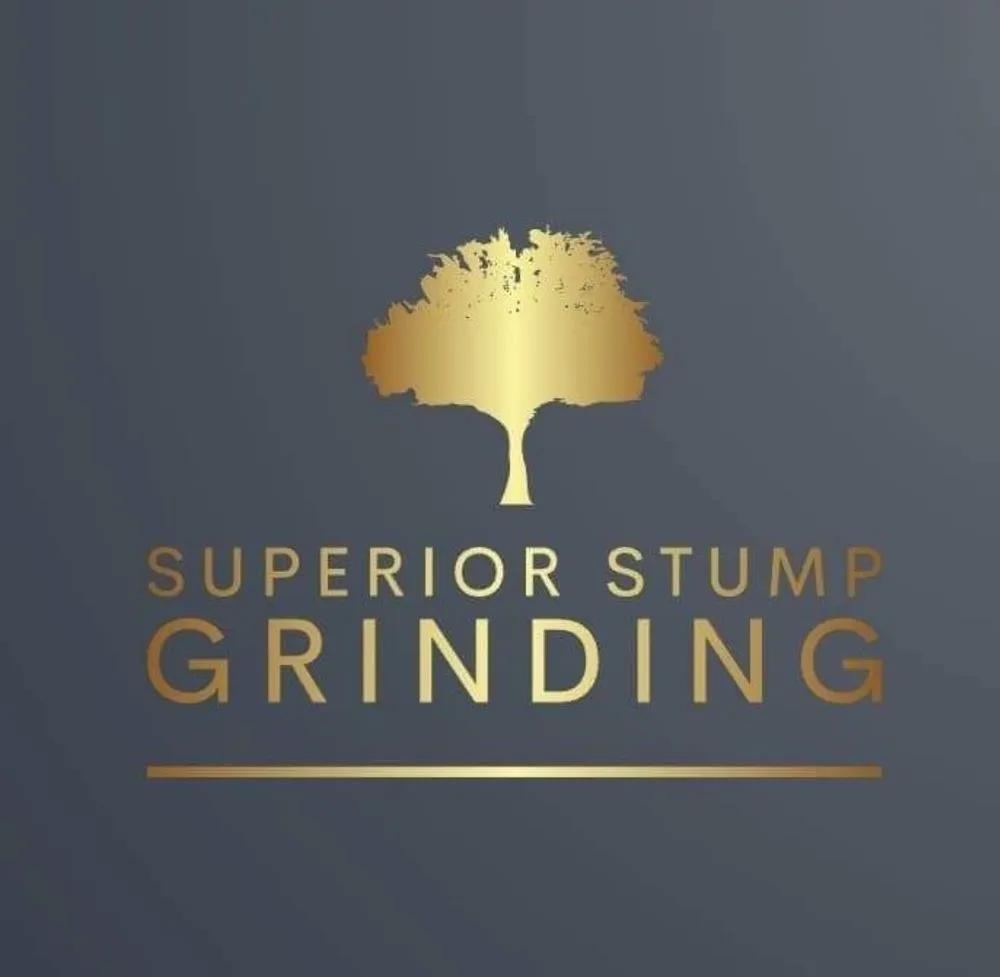 Affordable lawn care service in Hixson, TN by Superior Stump Grinding