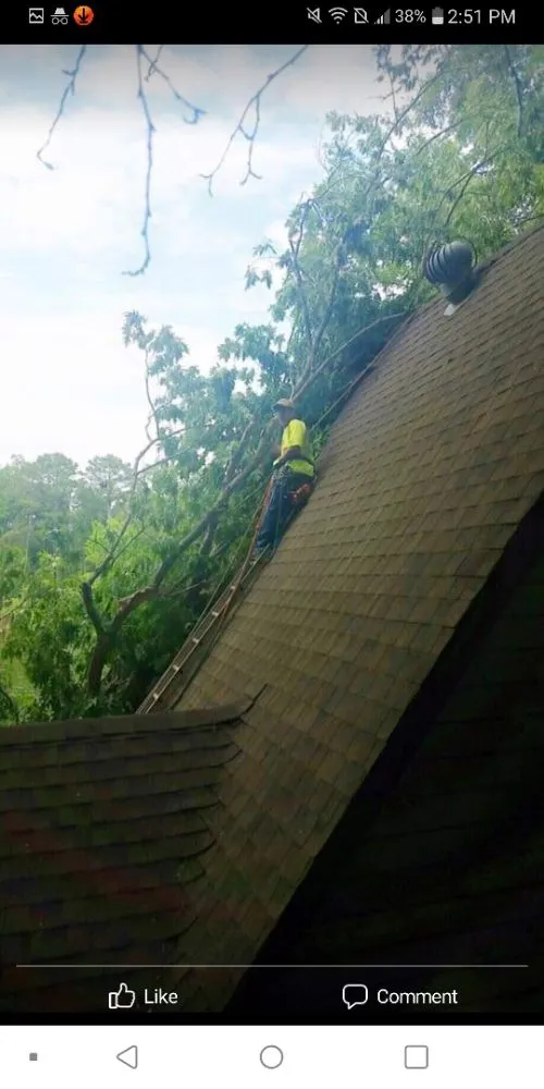 Local lawn care service for residential properties across Douglasville, GA - Superior Stump Removal