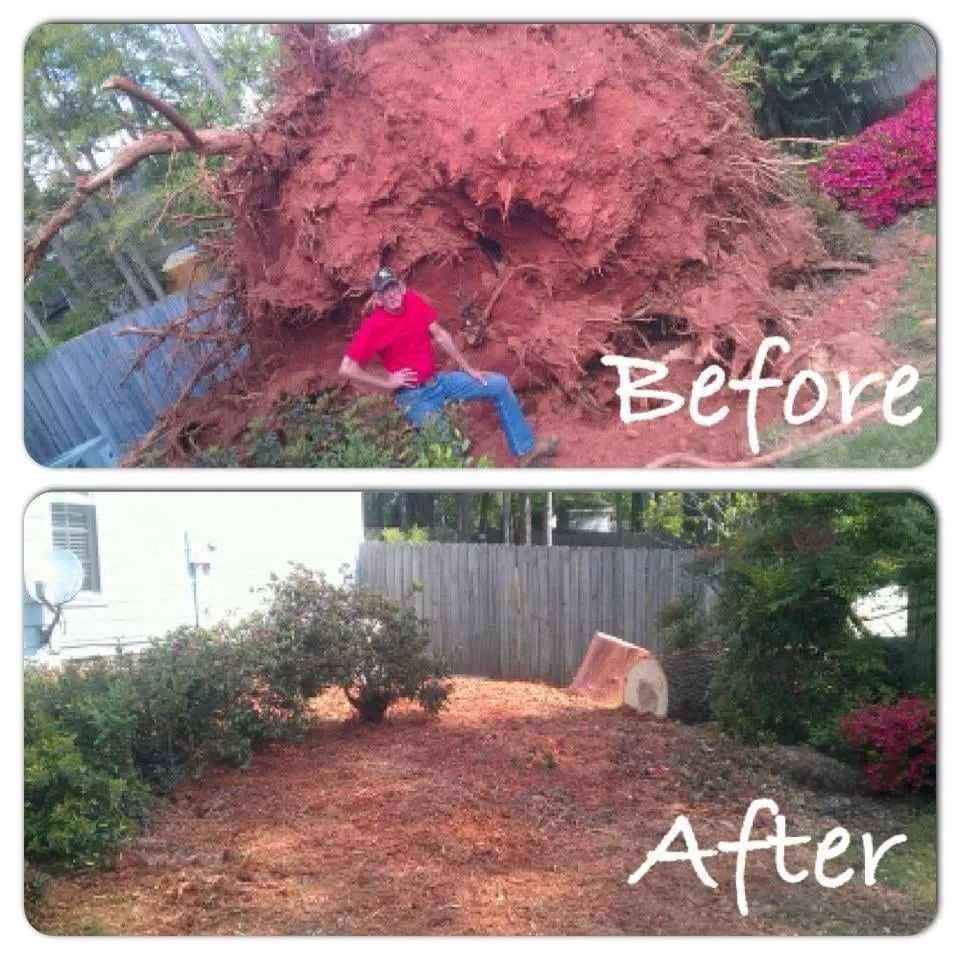 Custom garden landscaping for year-round maintenance in Douglasville, GA by Superior Stump Removal