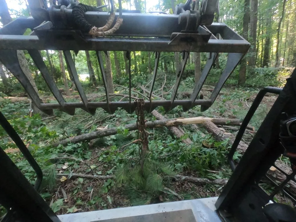 Trusted yard cleanup service for homes in Douglasville, GA by Superior Stump Removal