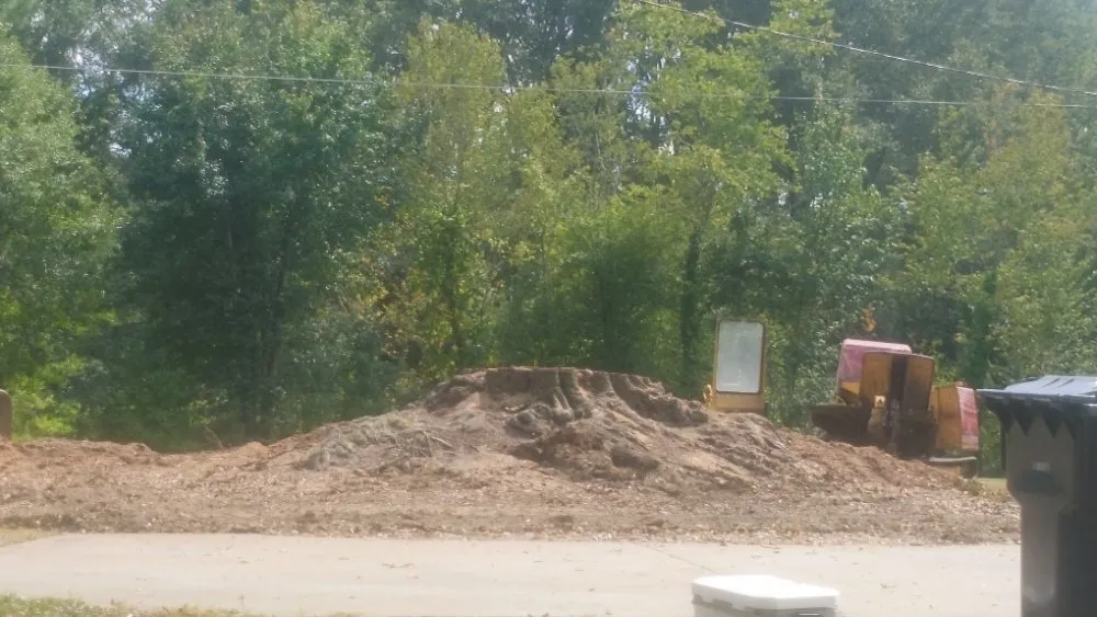 Affordable yard cleanup service with custom design in Douglasville, GA by Superior Stump Removal