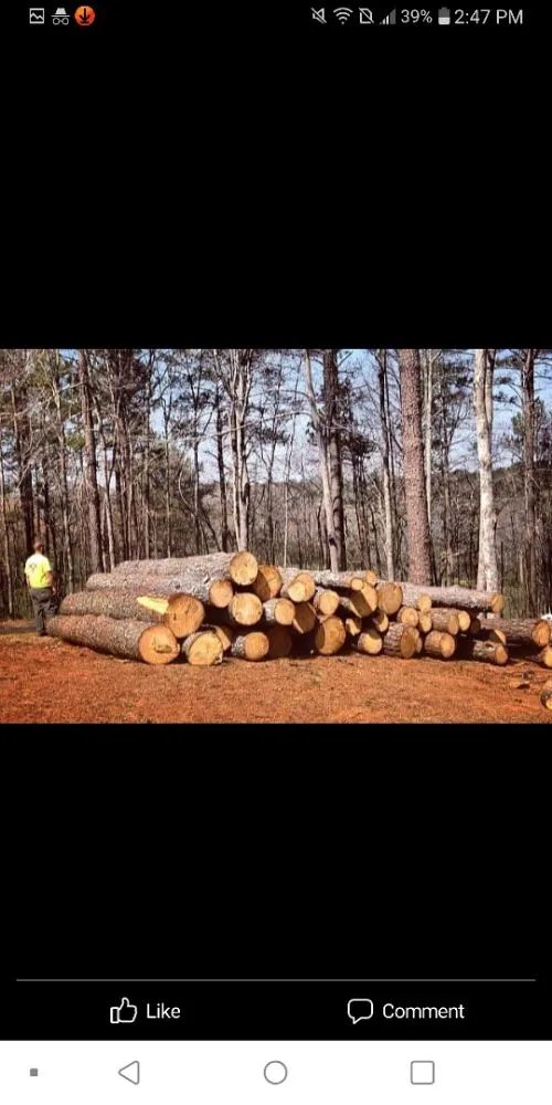 Local lawn care service experts serving Douglasville, GA - Superior Stump Removal