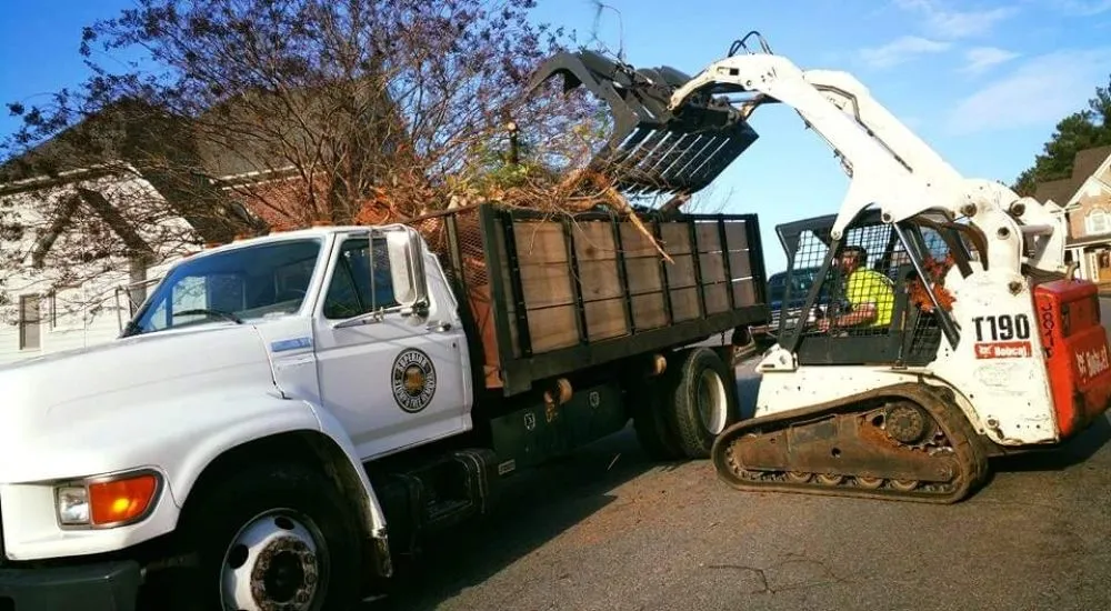 Affordable residential landscaping for residential properties in Douglasville, GA by Superior Stump Removal