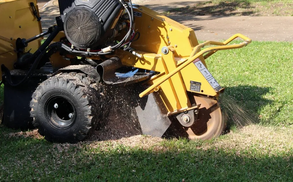 Professional landscape design in Mooresville, NC - Superior Stump Solutions