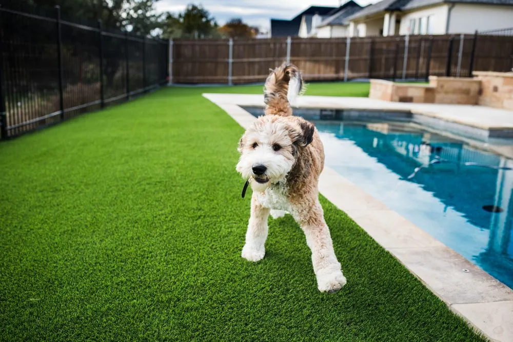 Expert residential landscaping in Fort Worth, TX by Superior Synthetic Grass & Turf