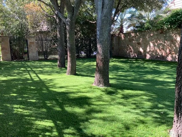 Expert yard cleanup service in Fort Worth, TX by Superior Synthetic Grass & Turf