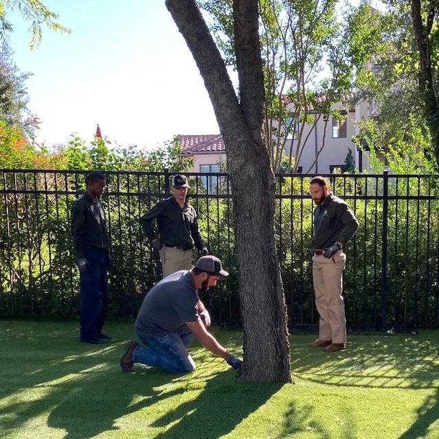 Reliable landscaping services near you in Fort Worth, TX by Superior Synthetic Grass & Turf