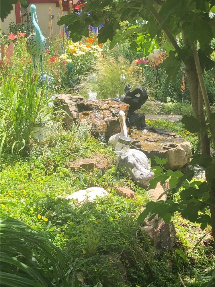 Professional yard cleanup service experts serving Colorado Springs, CO - Superior Systems