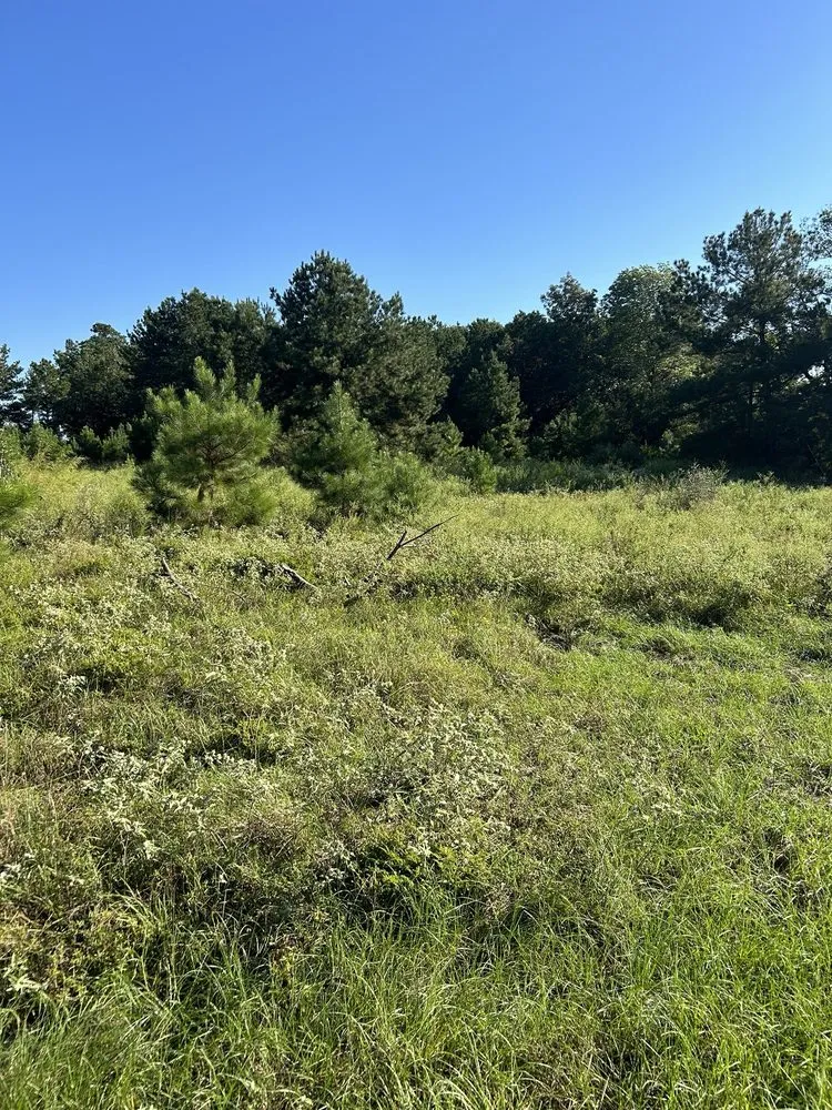 Custom landscape design for beautiful yards in Lufkin, TX by Superior Tractor Services