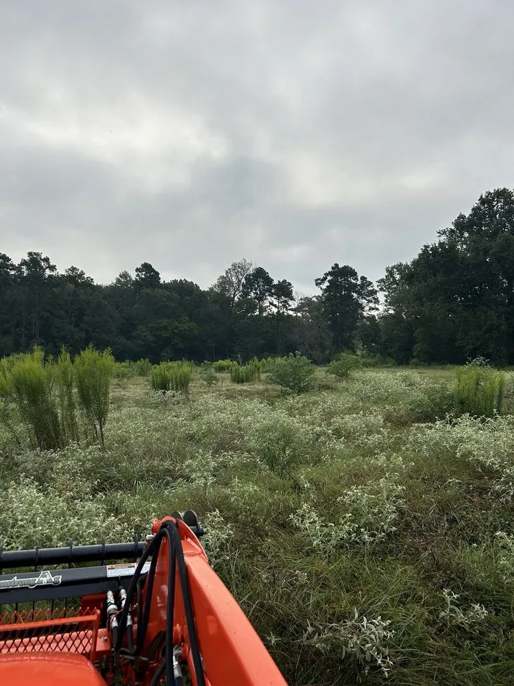 Trusted lawn care service for beautiful yards across Lufkin, TX - Superior Tractor Services