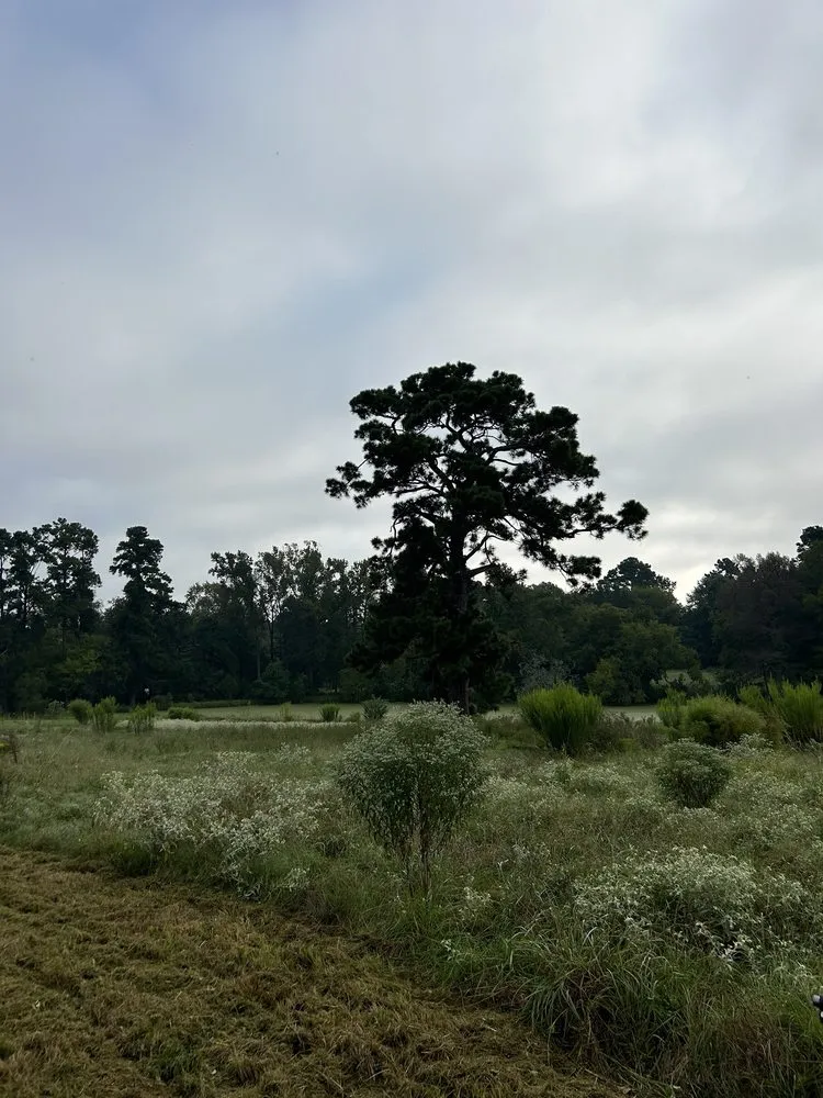 Trusted yard cleanup service near you across Lufkin, TX - Superior Tractor Services