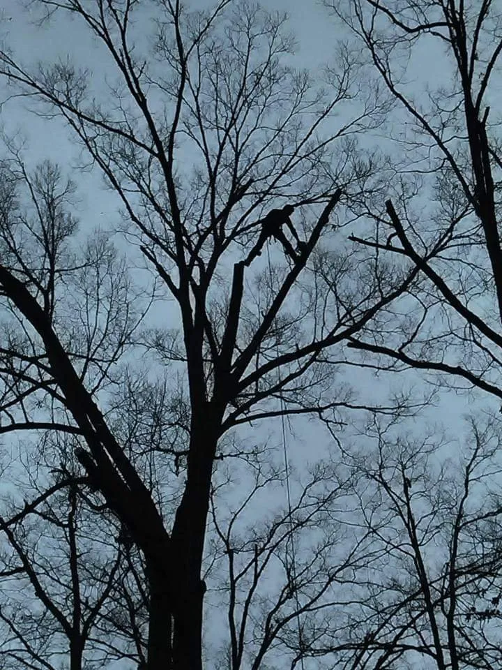 Local garden landscaping for beautiful yards in Loudon, TN by Superior Tree and Land Management