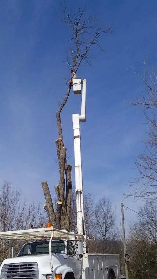 Top-rated lawn care service near you in Loudon, TN by Superior Tree and Land Management