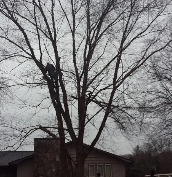 Affordable landscape installation in Loudon, TN - Superior Tree and Land Management