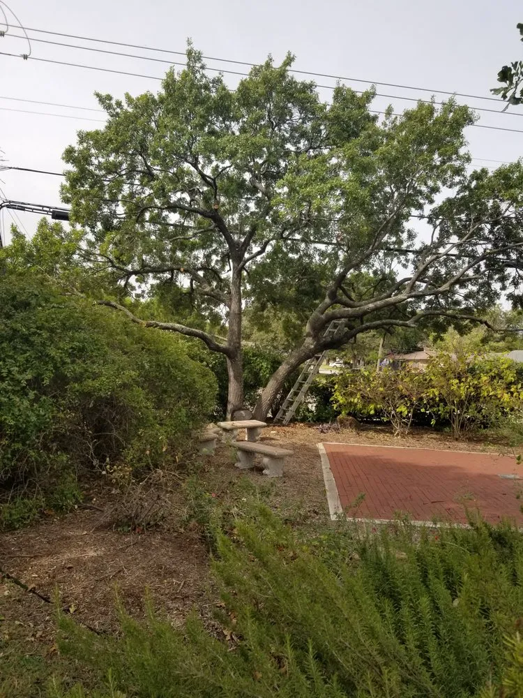 Local residential landscaping in Fort Worth, TX by Superior Tree and Landscape