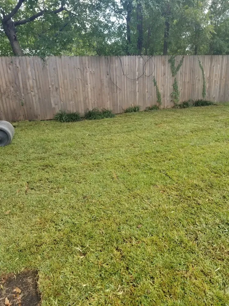 Affordable landscape design experts serving Fort Worth, TX - Superior Tree and Landscape