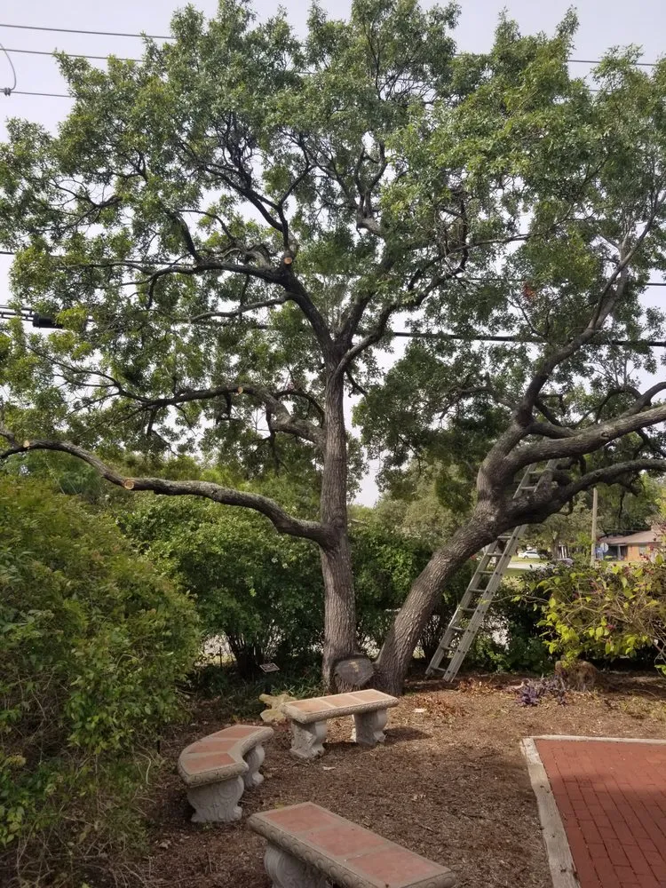 Expert outdoor landscaping for outdoor upgrades across Fort Worth, TX - Superior Tree and Landscape