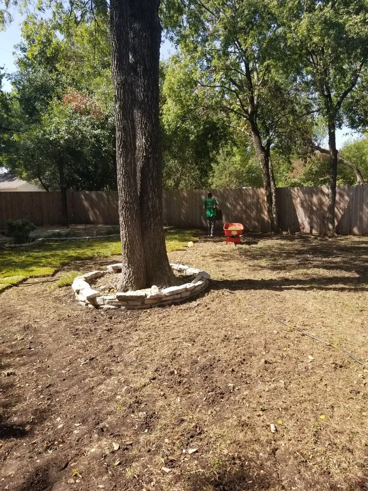 Affordable yard cleanup service in Fort Worth, TX by Superior Tree and Landscape