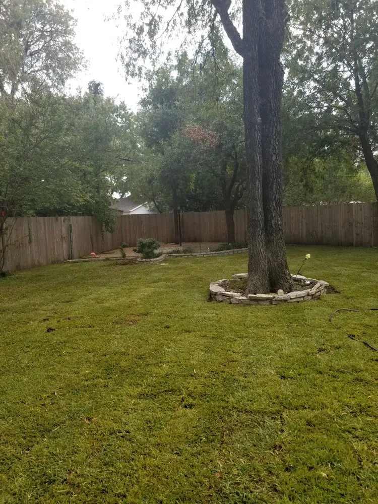 Affordable residential landscaping for year-round maintenance in Fort Worth, TX by Superior Tree and Landscape