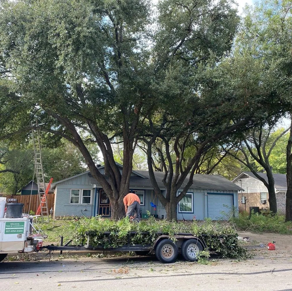 Affordable garden landscaping in Fort Worth, TX - Superior Tree and Landscape