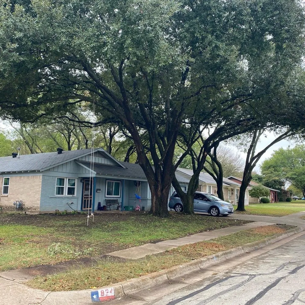 Affordable outdoor landscaping for beautiful yards in Fort Worth, TX by Superior Tree and Landscape