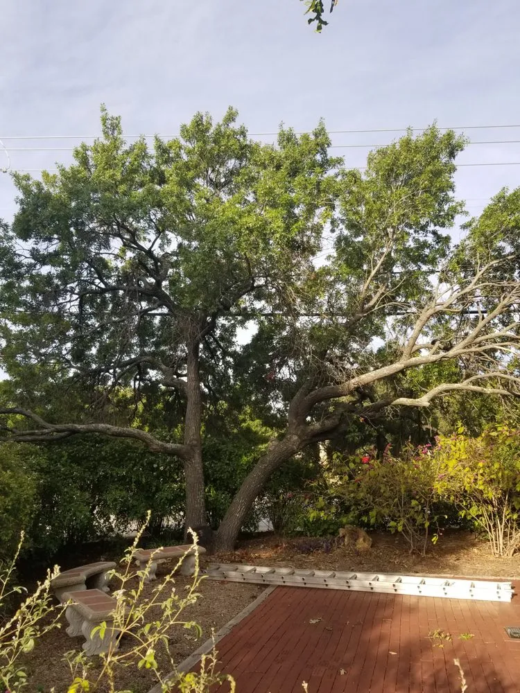 Professional landscaping services for outdoor upgrades in Fort Worth, TX by Superior Tree and Landscape