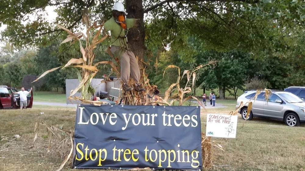 Affordable residential landscaping with custom design across Morristown, TN - Superior Tree And Landscape Service