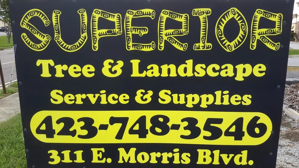 Custom yard cleanup service in Morristown, TN by Superior Tree And Landscape Service