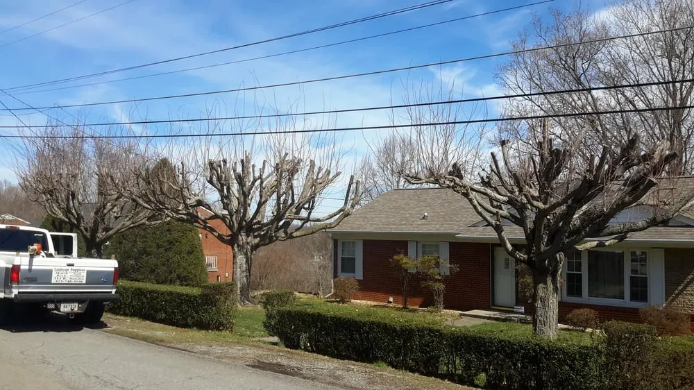 Trusted garden landscaping with custom design in Morristown, TN by Superior Tree And Landscape Service