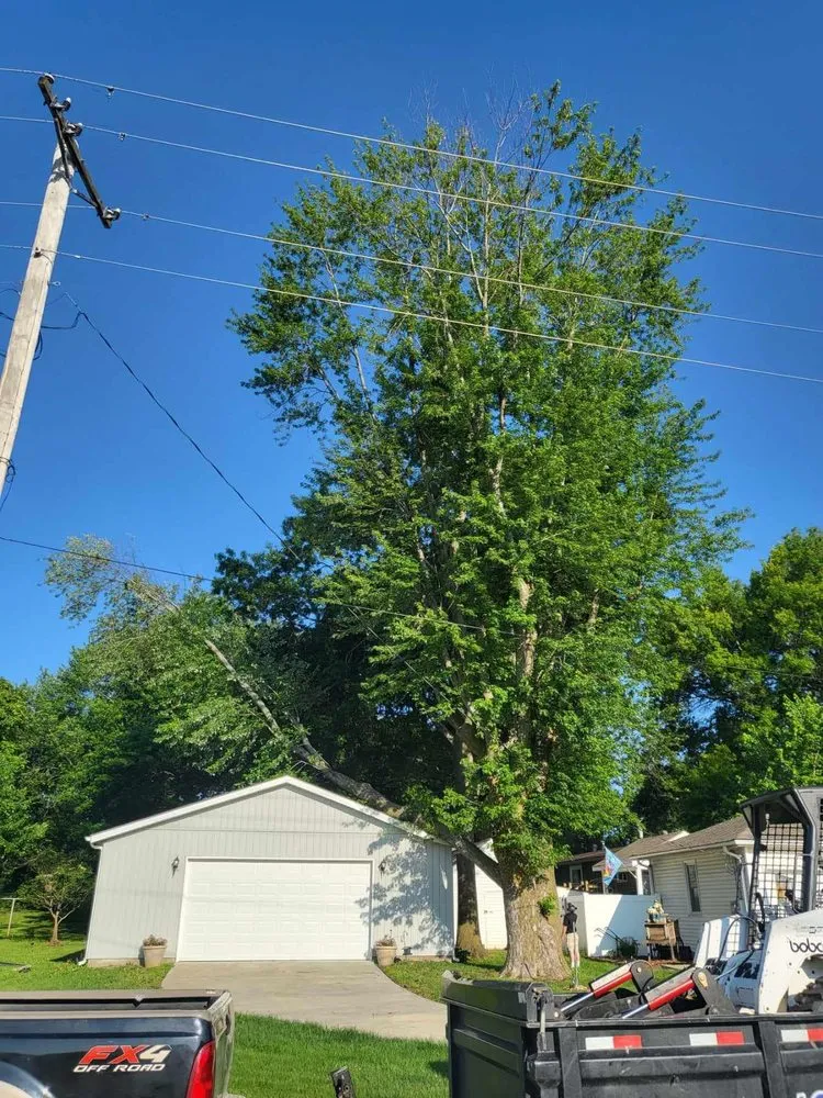 Trusted lawn mowing service in Rayville, MO by Superior Tree and Landscaping