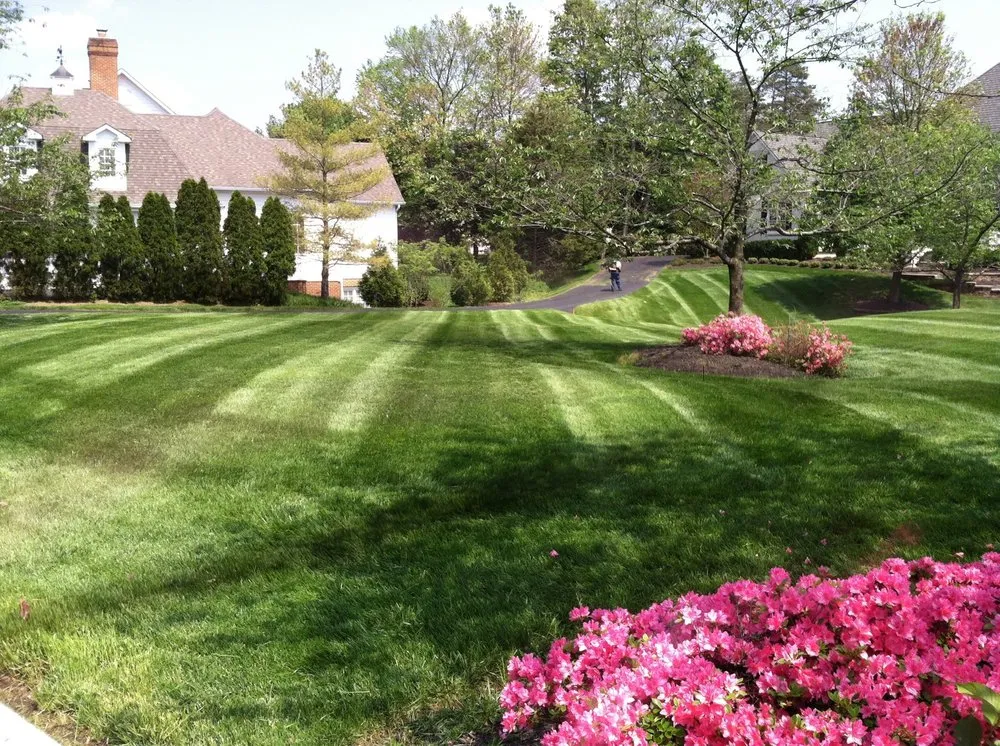 Affordable yard cleanup service in Haymarket, VA - Superior Turf & Landscaping