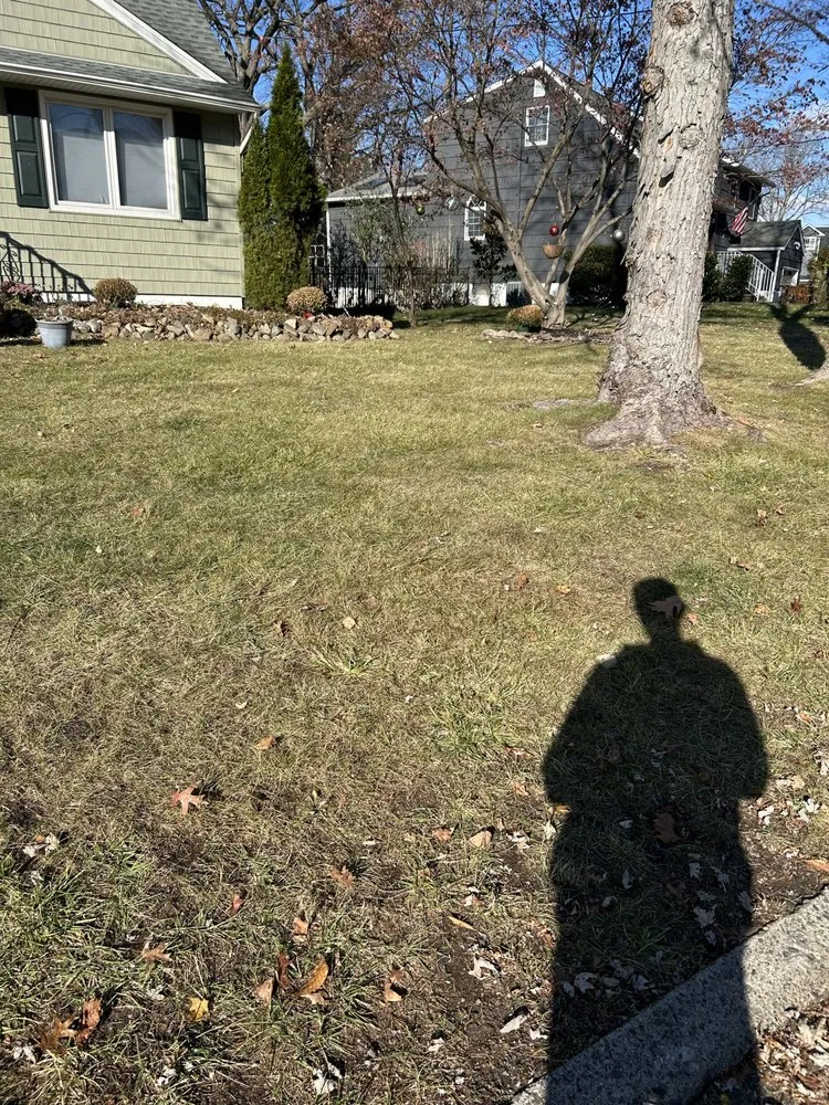 Top-rated residential landscaping for outdoor upgrades across West Caldwell, NJ - Superior Yard Solutions