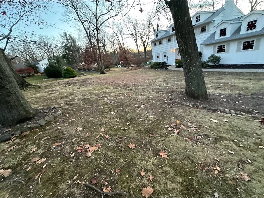 Affordable residential landscaping experts serving West Caldwell, NJ - Superior Yard Solutions