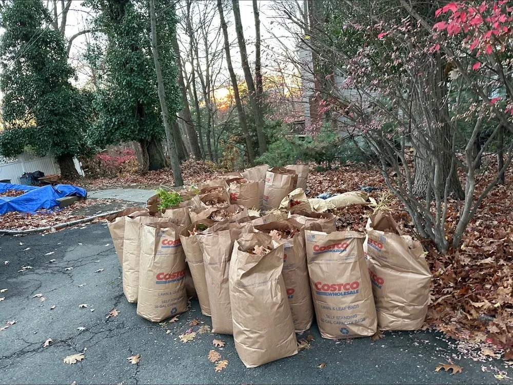 Top-rated outdoor landscaping experts serving West Caldwell, NJ - Superior Yard Solutions