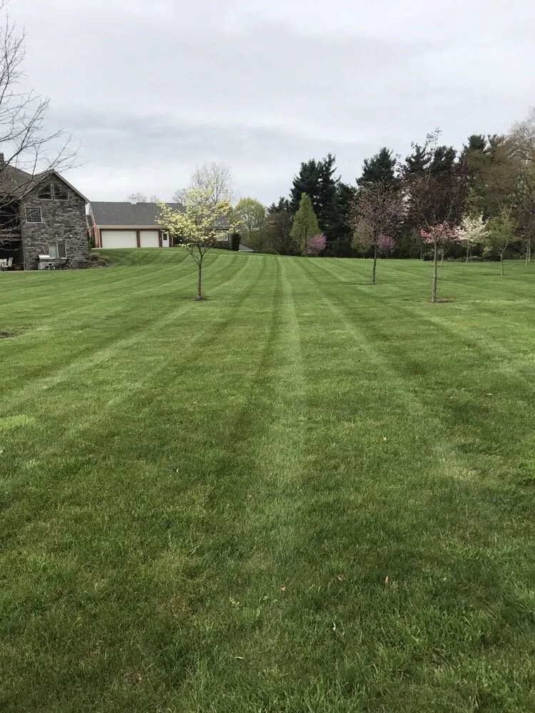 Custom garden landscaping experts serving Indiana, PA - Superior Yardscapes