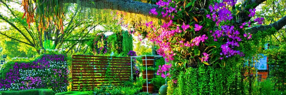 Affordable yard cleanup service in Landenberg, PA by Superior Yardworks