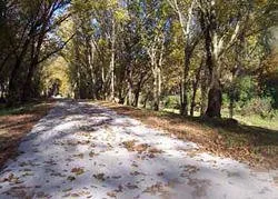 Professional lawn care service with custom design in Birmingham, AL by SuperiorScape