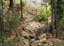 Custom yard cleanup service in Birmingham, AL by SuperiorScape