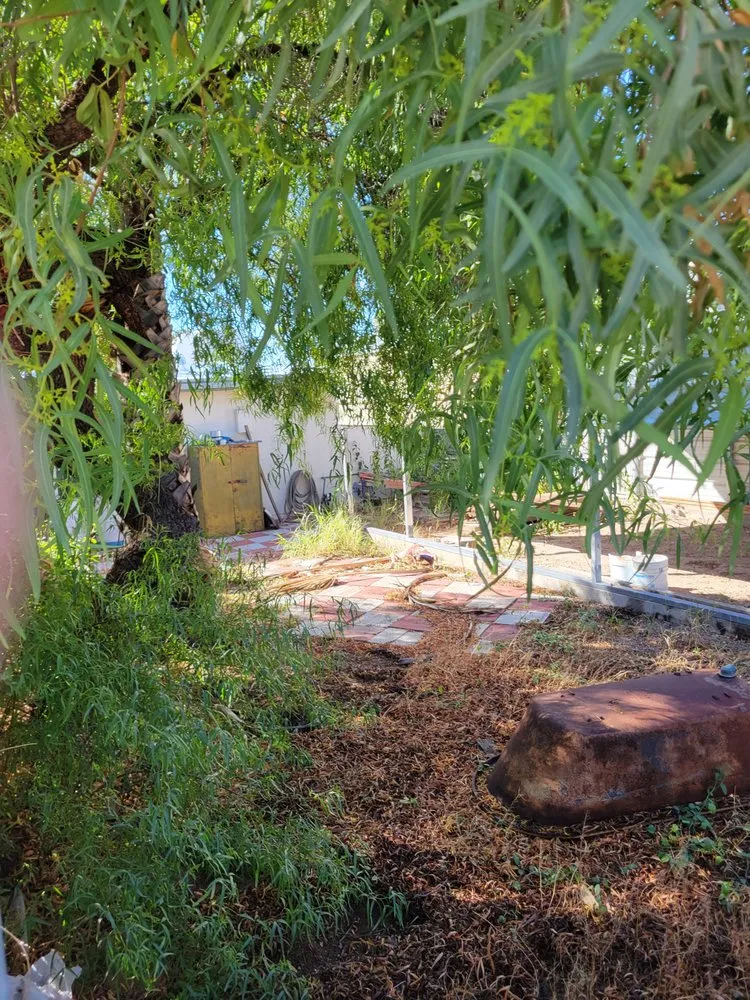 Professional yard maintenance experts serving Tucson, AZ - Superland Landscaping