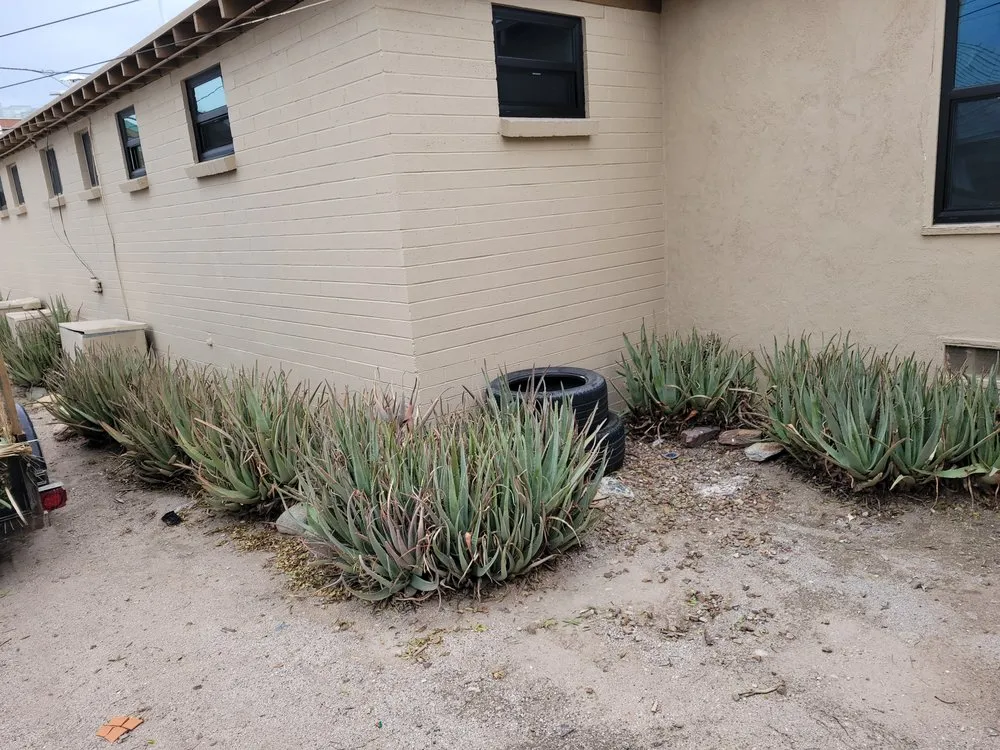 Affordable lawn care service for homes in Tucson, AZ by Superland Landscaping