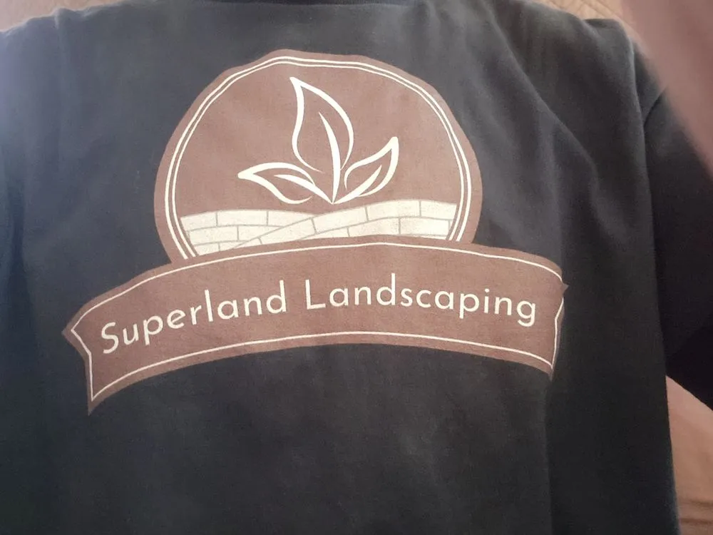 Custom yard maintenance in Tucson, AZ - Superland Landscaping