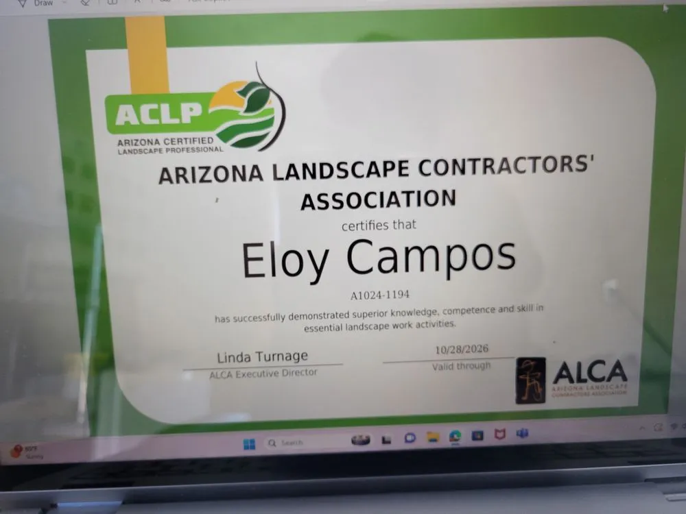 Trusted yard maintenance in Tucson, AZ - Superland Landscaping