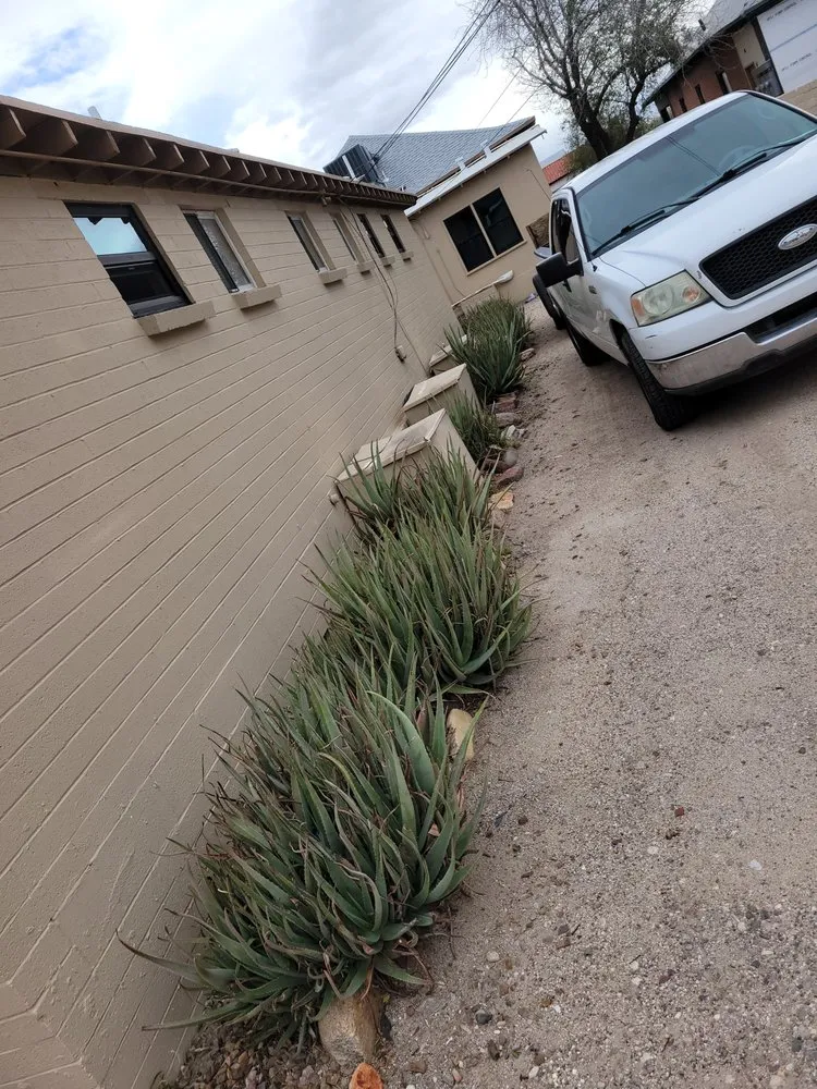 Expert outdoor landscaping experts serving Tucson, AZ - Superland Landscaping