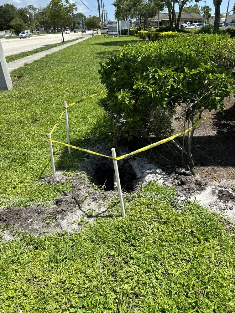 Top-rated landscape installation experts serving Palmetto, FL - Superlative Property Services