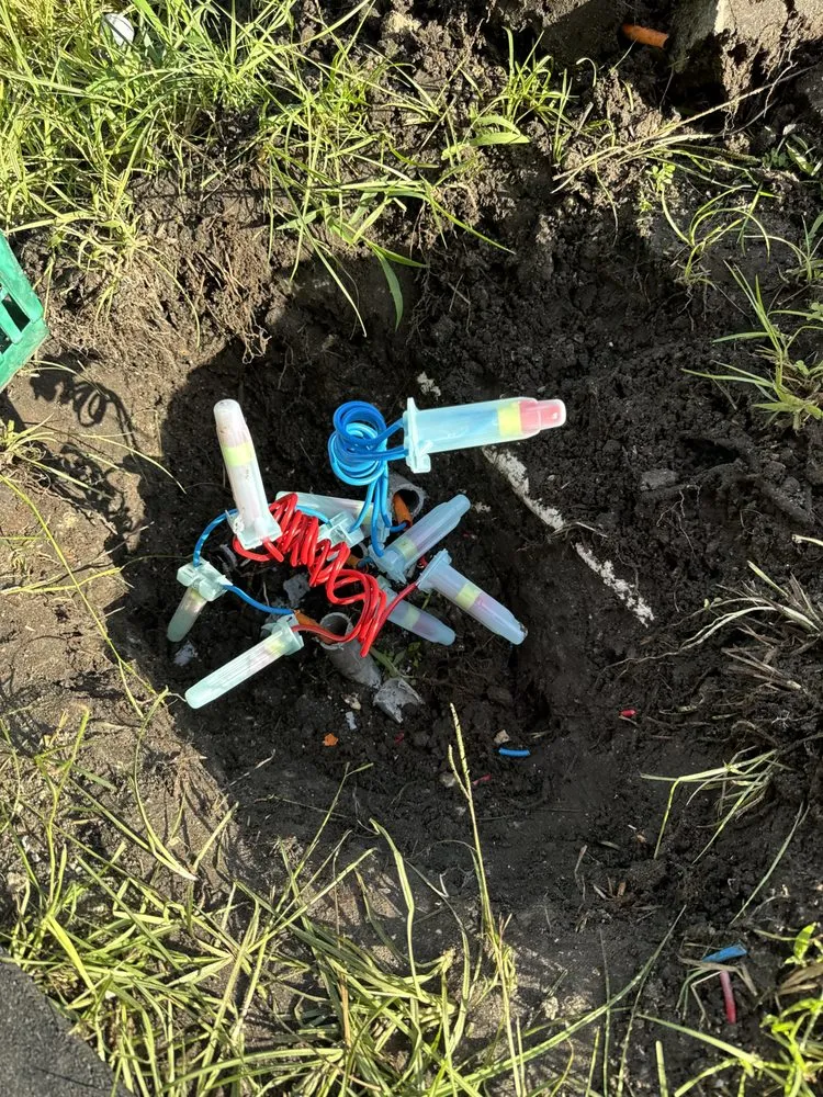 Professional garden landscaping with custom design in Palmetto, FL by Superlative Property Services